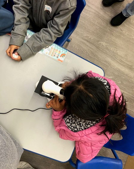 A 2nd grader viewing through a microscope at MacArthur Park Elementary