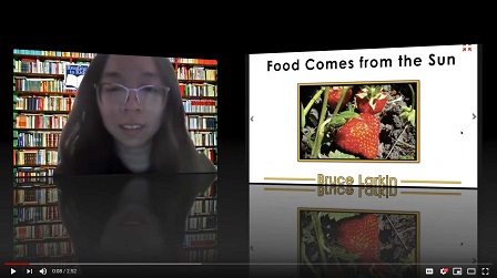 Food Comes from the Sun video image